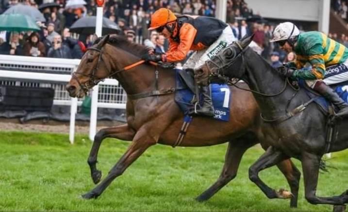 Tobefair in winning action