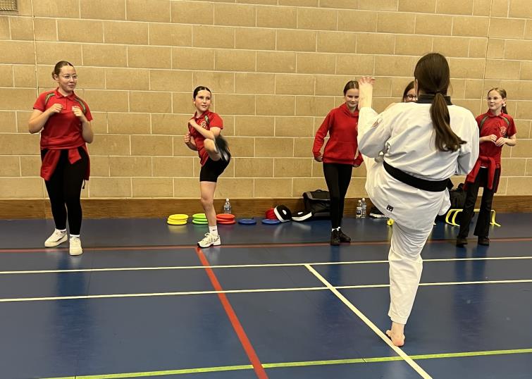 Trying out Taikwondo