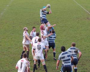 Rugby Reports 20th December 2014