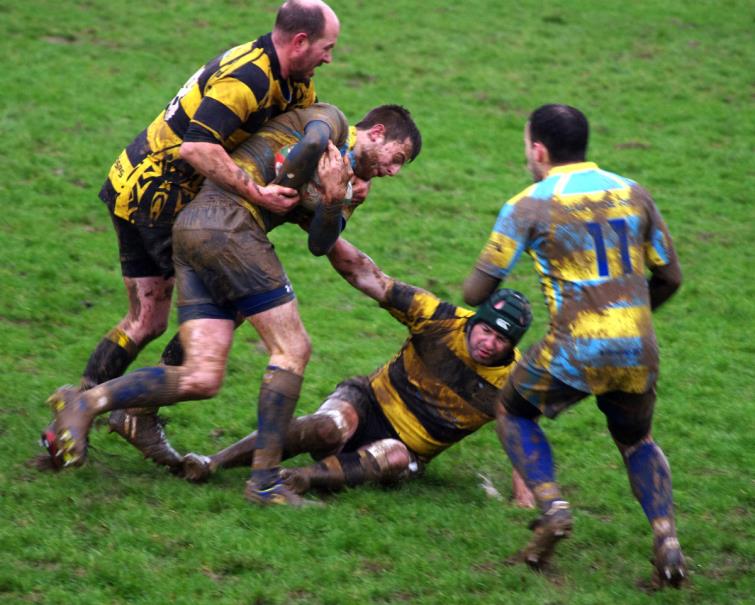 Wasps put under pressure by Laugharne