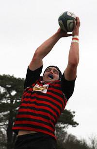 Rugby Reports 1st November 2014