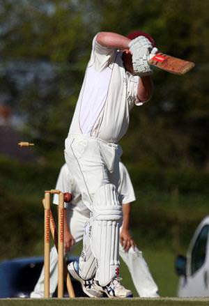 Cricket photos from around the county