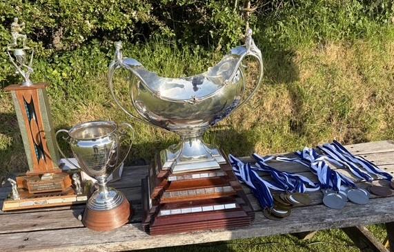 Magnificent  Bowl and trophies