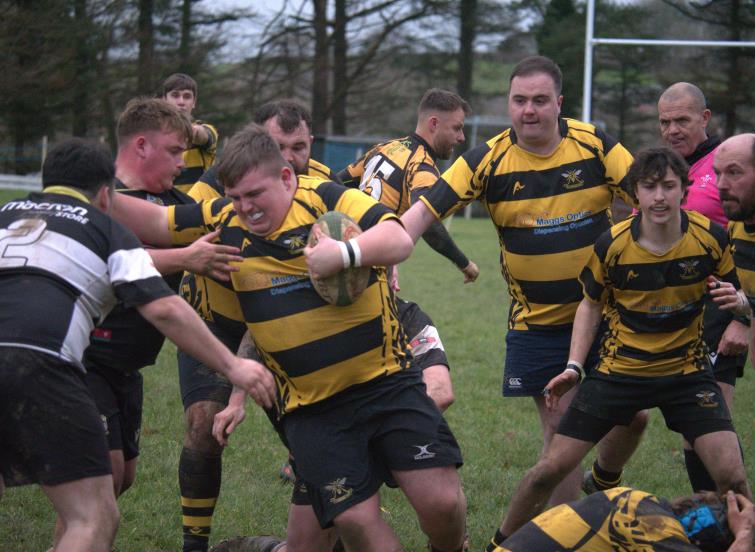 Callum Jenkins ploughs through for The Wasps