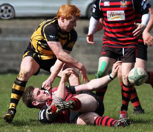 Rugby Reports 11th April 2015