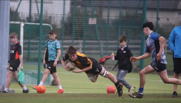 Another try for The Young Wasps