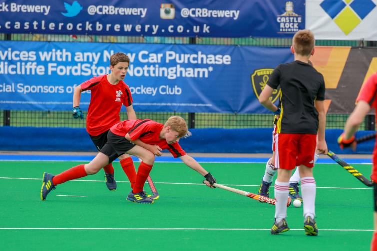 Alastair Dyer in action