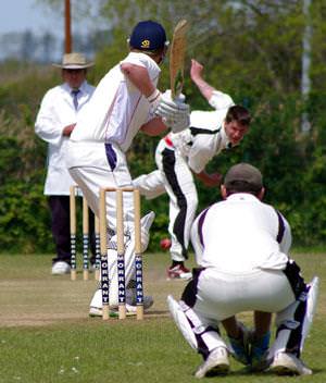 Cricket photos from around the county