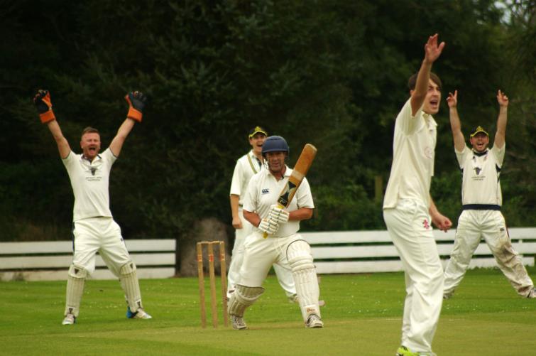 Big LBW appeal for Town 2nds opener Nigel Morgan by Llangwm players