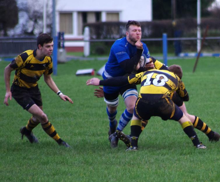 The Blues go on the charge against The Wasps
