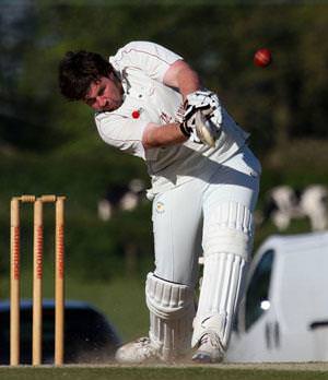 Cricket photos from around the county