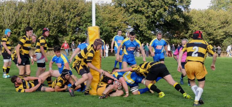 Great Wasps Defence