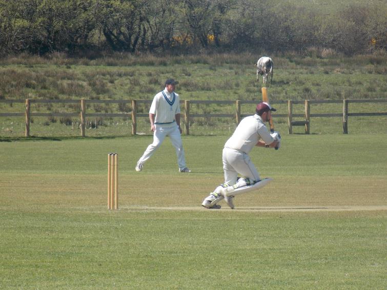 Cricket Reports 24th April 2016