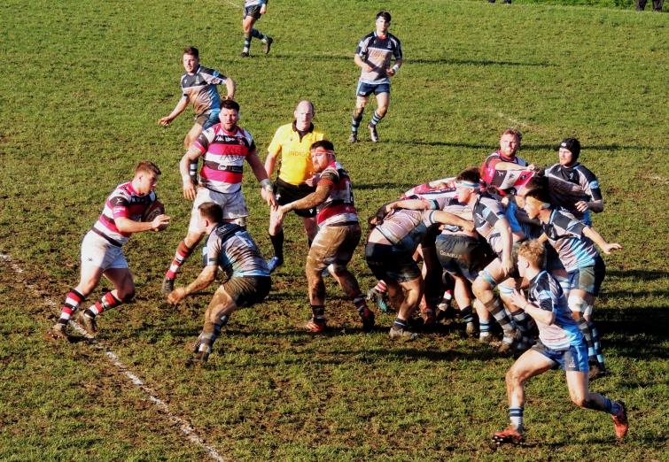 Pontypool break from a scrum (Pic Bill Carne)
