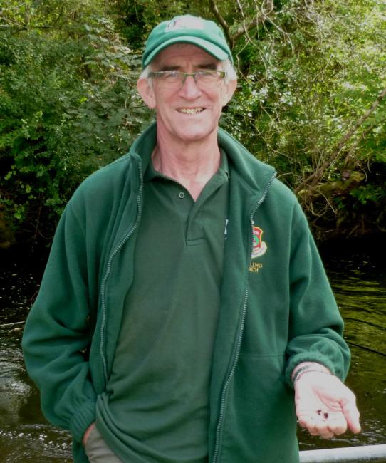 David Gardner