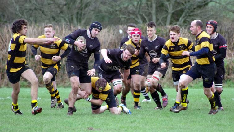 Rugby Reports 30th January 2016