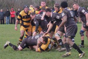Rugby Reports 31st January 2015