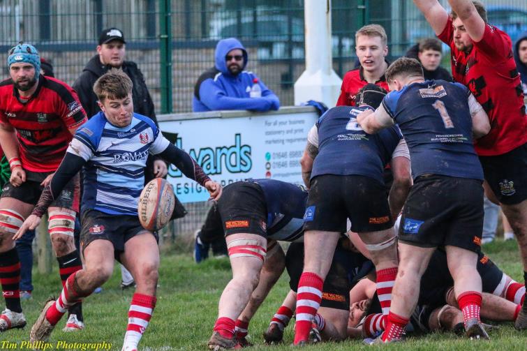 Milford Haven scrum half Dan McClelland box kicks. Picture Tim Phillips Photography