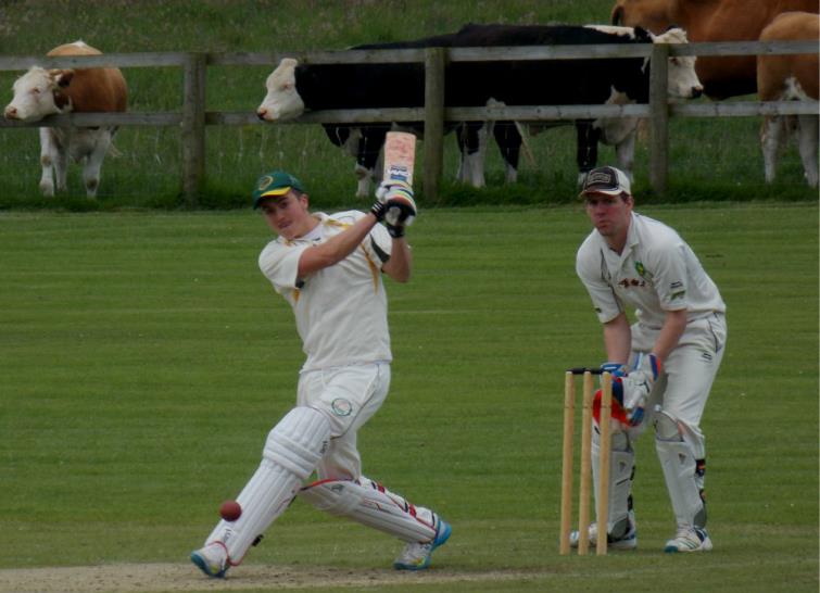  Daniel Richards plays a cow shot for Tish at Llandigige Fawr