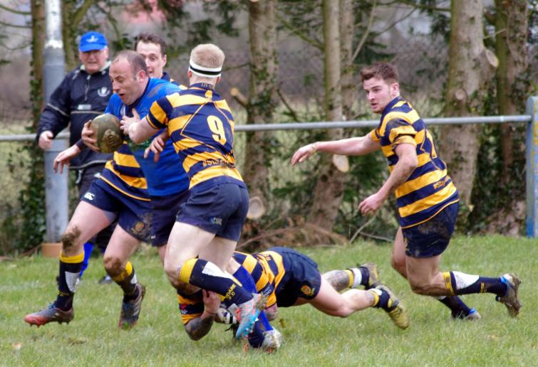 Rugby Reports 12th March 2016
