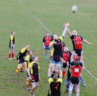 Fishguard shade this lineout