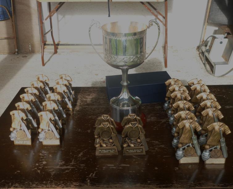 A magnificent array of trophies!