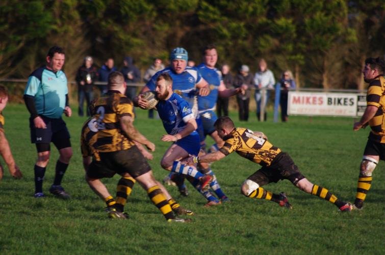Steve Thomas takes on The Wasps