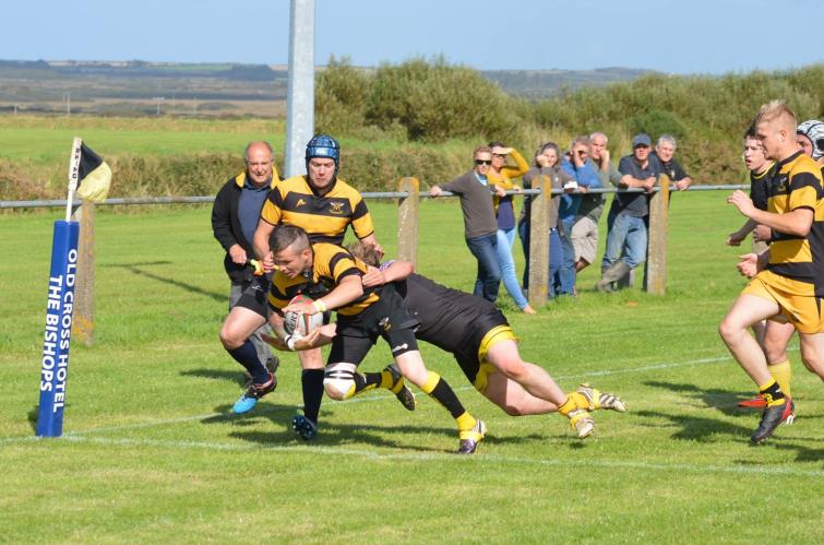Wasps go over for a try