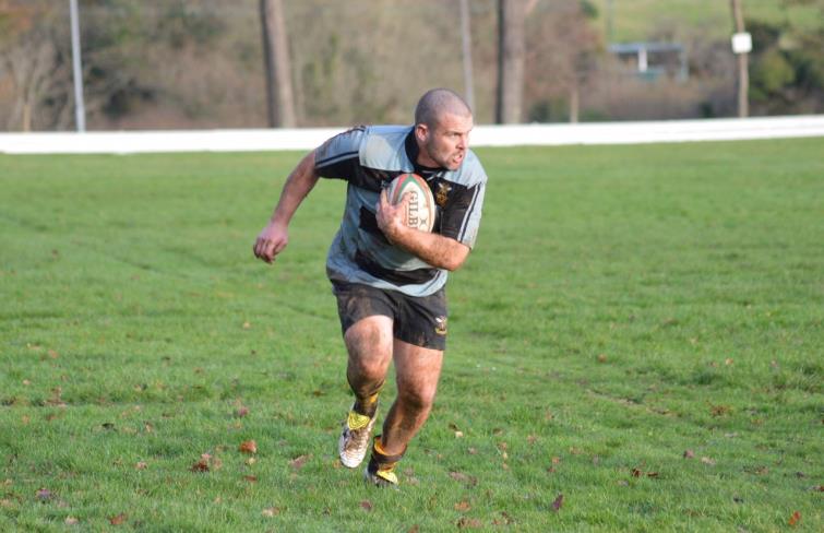 Wasps look to attack