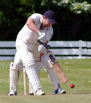 Cricket photos from around the county