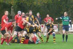 Rugby Reports 2nd November 2013