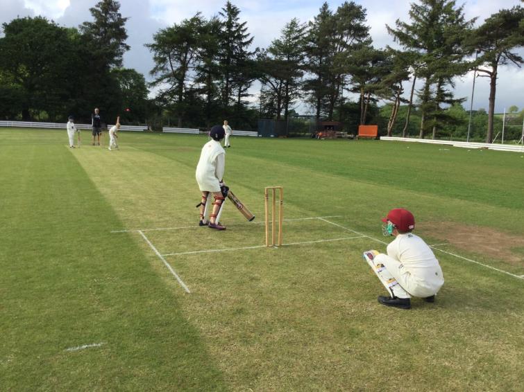 Junior cricket action