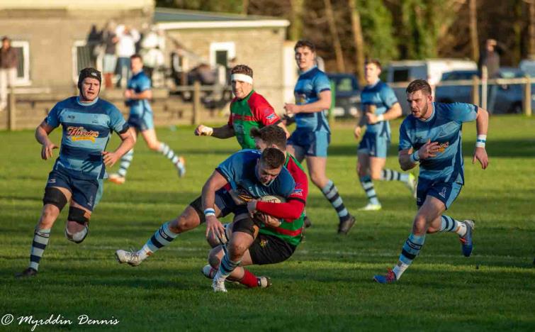 Otters on the attack (Myrddin Dennis)