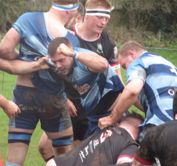 Otters go close