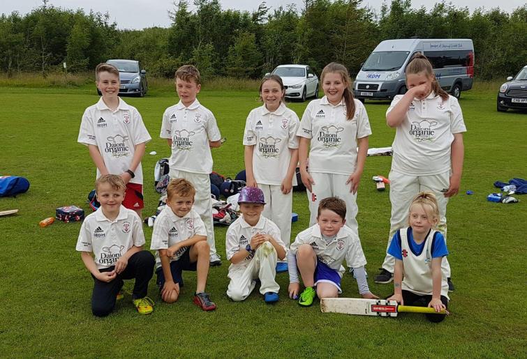 Llechryd Under 11s