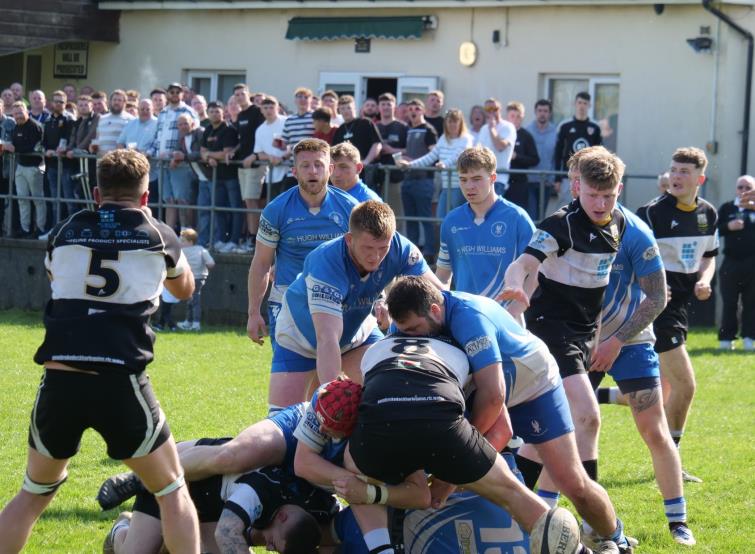 Blues defend in numbers as Quins press forward. Picture William John