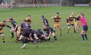 Rugby Reports 31st January 2015