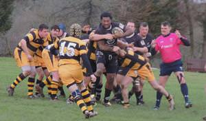 Rugby Reports 31st January 2015