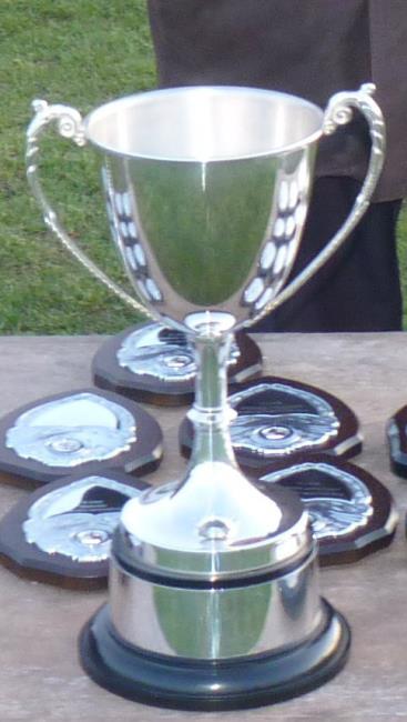 Senior Cup