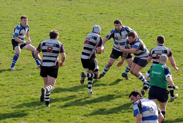 Rugby Reports 8th March 2014