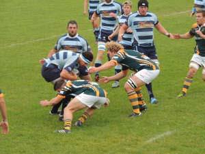 Rugby Reports 20th September 2014