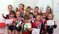 Phoenix Gymnastics Invitational Competition 