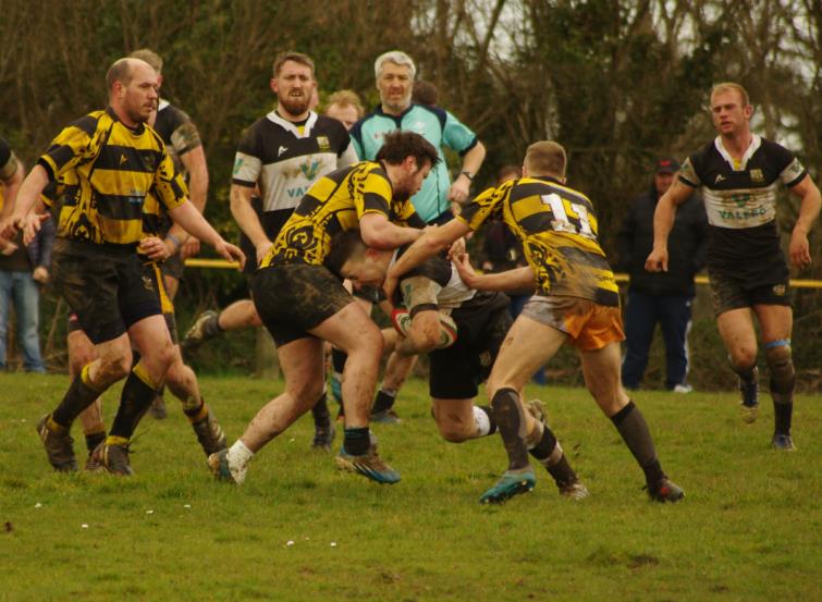 Pembroke Dock Harlequins drive on against Llangwm