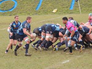 Rugby Reports 14th February 2015