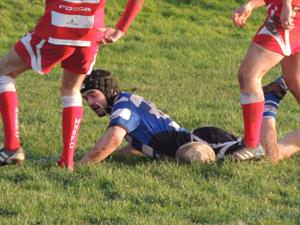 Rugby Reports 24th January 2015