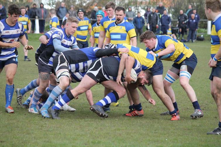 Seagulls almost certainly stay in second division
