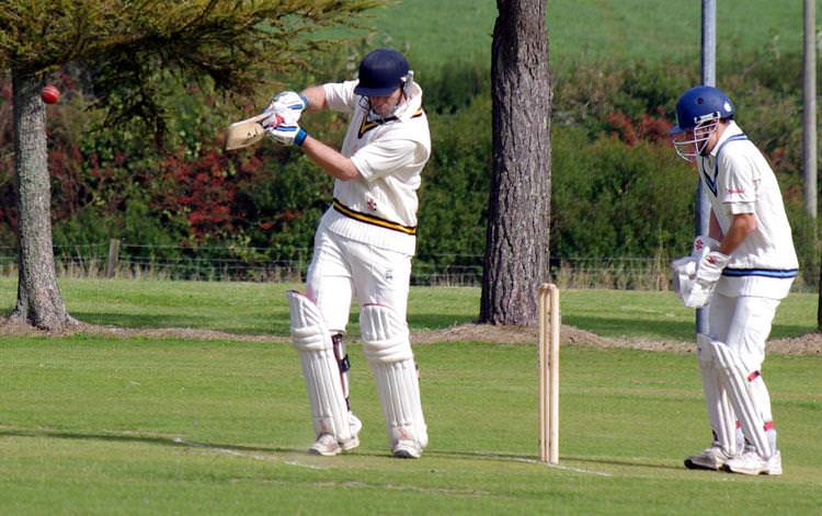 Division Two Reports 30th August 2014