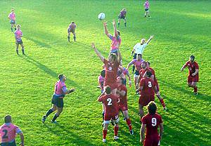 Young Otters look good against Llanelli